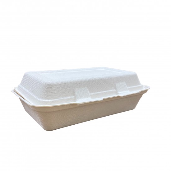 Rectangular Hinged Sugarcane Container