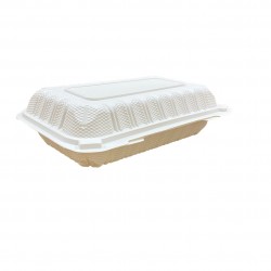 Rectangular Hinged Plastic Container