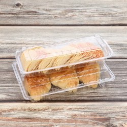 Clear Hinged Plastic Container
