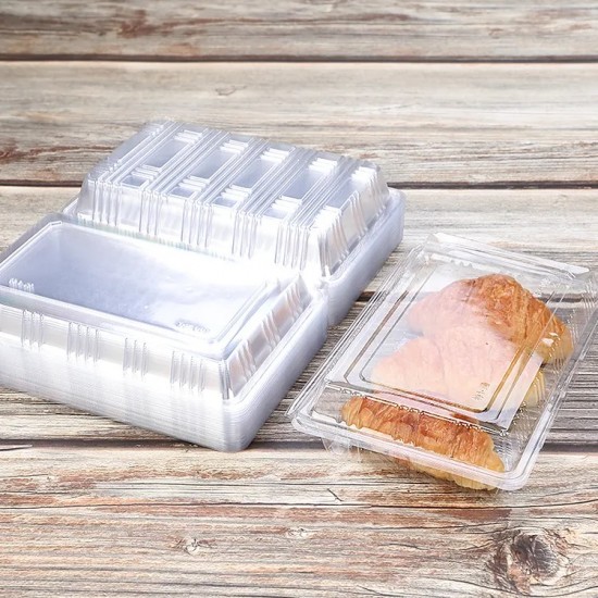 Clear Hinged Plastic Container