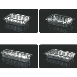 Clear Hinged Plastic Container