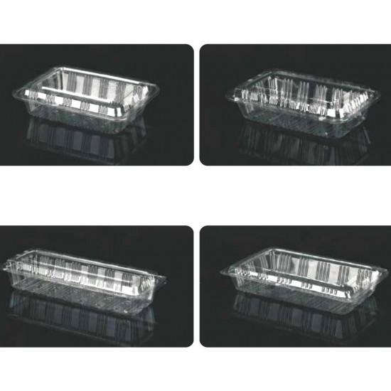 Clear Hinged Plastic Container