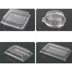 Clear Hinged Plastic Container