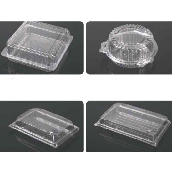 Clear Hinged Plastic Container