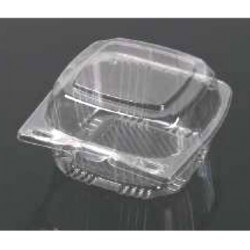 Clear Hinged Plastic Container