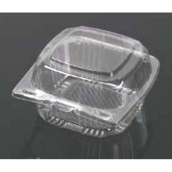 Clear Hinged Plastic Container