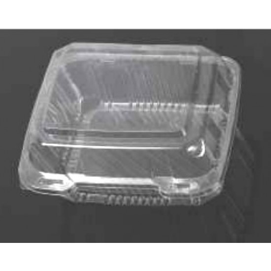 Clear Hinged Plastic Container