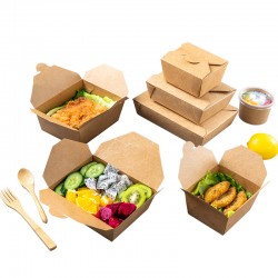 Kraft Eco Box