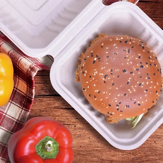 Hamburger Hinged Sugarcane Container