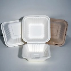 Hamburger Hinged Sugarcane Container