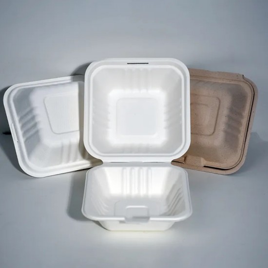Hamburger Hinged Sugarcane Container