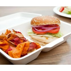 2 Compartment Hinged Sugarcane Container