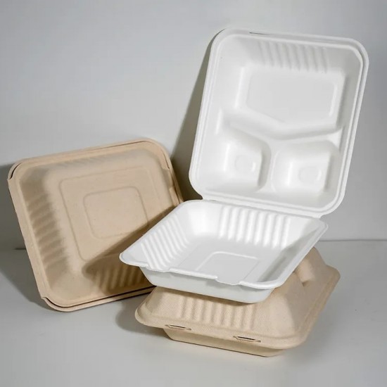 3 Compartment Hinged Sugarcane Container