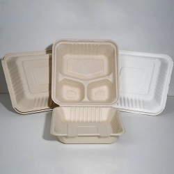 3 Compartment Hinged Sugarcane Container