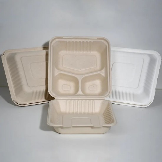 3 Compartment Hinged Sugarcane Container