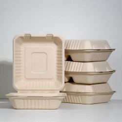 3 Compartment Hinged Sugarcane Container