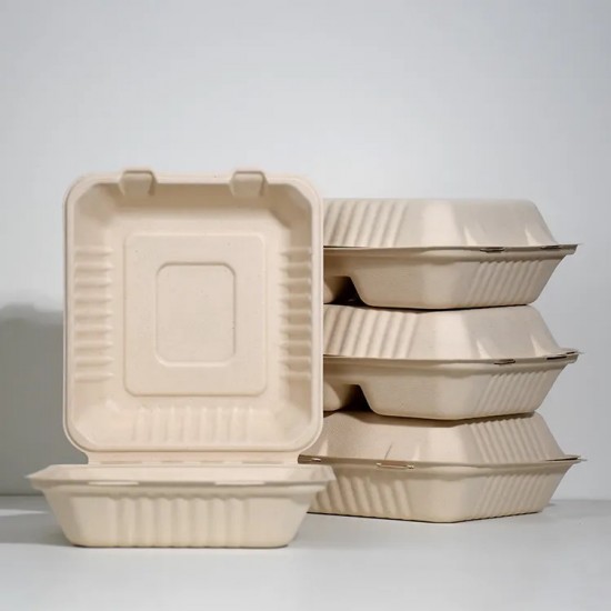 3 Compartment Hinged Sugarcane Container