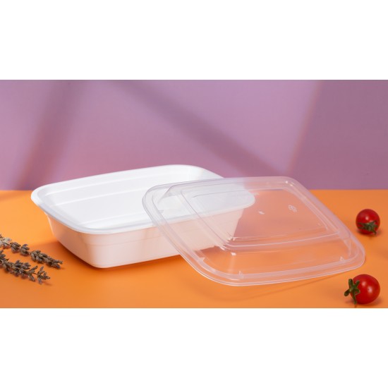 Food Container  - Plastics