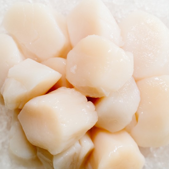 Scallop