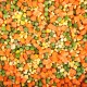 Frozen Vegetable